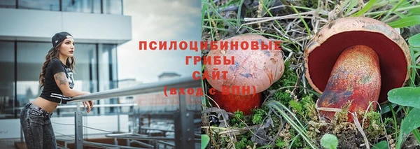 трава Балабаново